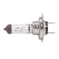 Preview: Glühlampe, Fernscheinwerfer, Halogen (N499), H7 12V 55W PX26d, 3000K